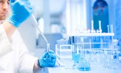 Prefeitura e Unipampa querem ampliar projetos conjuntos em 2021