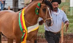 Agro impulsiona exportações do Estado