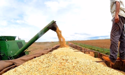 Soluções rendem homenagens na Abertura da Colheita do Arroz