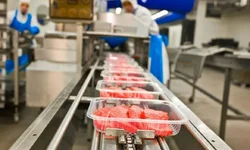 PL propõe regras mais rígidas para controle de pragas em supermercados