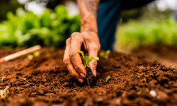 Associações iniciam inscrições para Expointer 2025