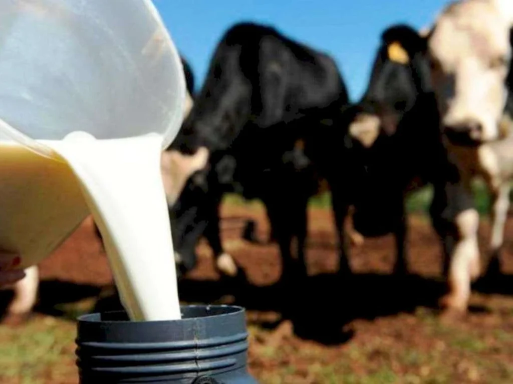 Custos de produção reduzem margens de lucro do produtor