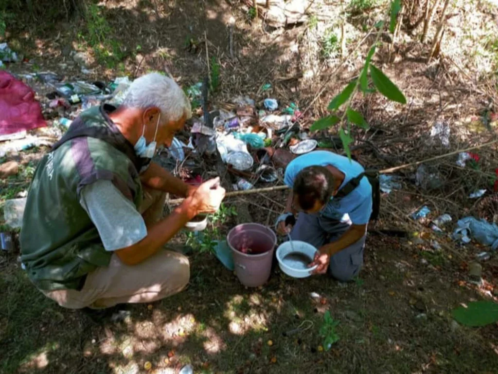 Começa levantamento para verificar larvas do aedes