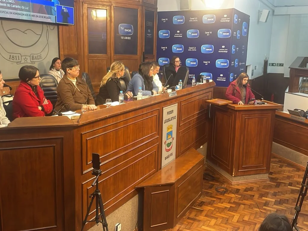 Lei Brasileira de Inclusão completa uma década