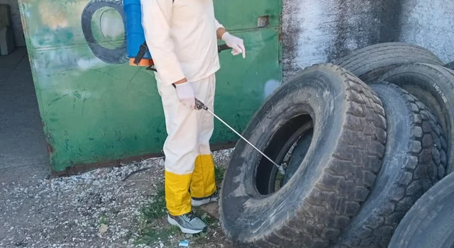 Bagé reforça ações de combate a dengue com ovitrampas