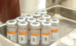 Saúde aplicará 330 segundas doses nesta terça