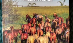 Chega ao fim prazo para utilização da CNH vencida