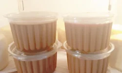 Assentamentos recebem recursos do Crédito Instalação