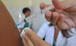 Galeria Edmundo Rodrigues terá exposições simultâneas