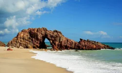 Lei que proíbe corrida de cães é promulgada