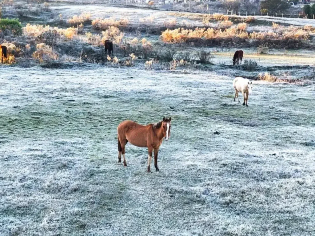 Frio intenso marca início da semana