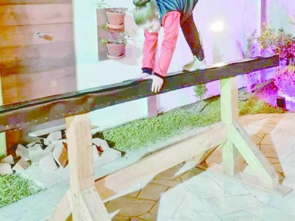 ‘Tente mover o mundo: o primeiro passo será mover a si mesmo’   – Platão