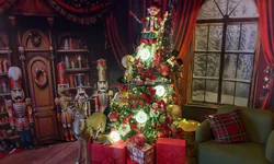 Feira da Vila Vicentina tem almoço solidário e atrações culturais