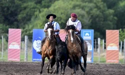 Égua de Aceguá é campeão do Bocal de Ouro