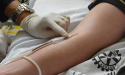 Doação de sangue bate meta de 100 cadastros
