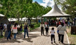 Feovelha começa nesta quinta-feira em Pinheiro Machado