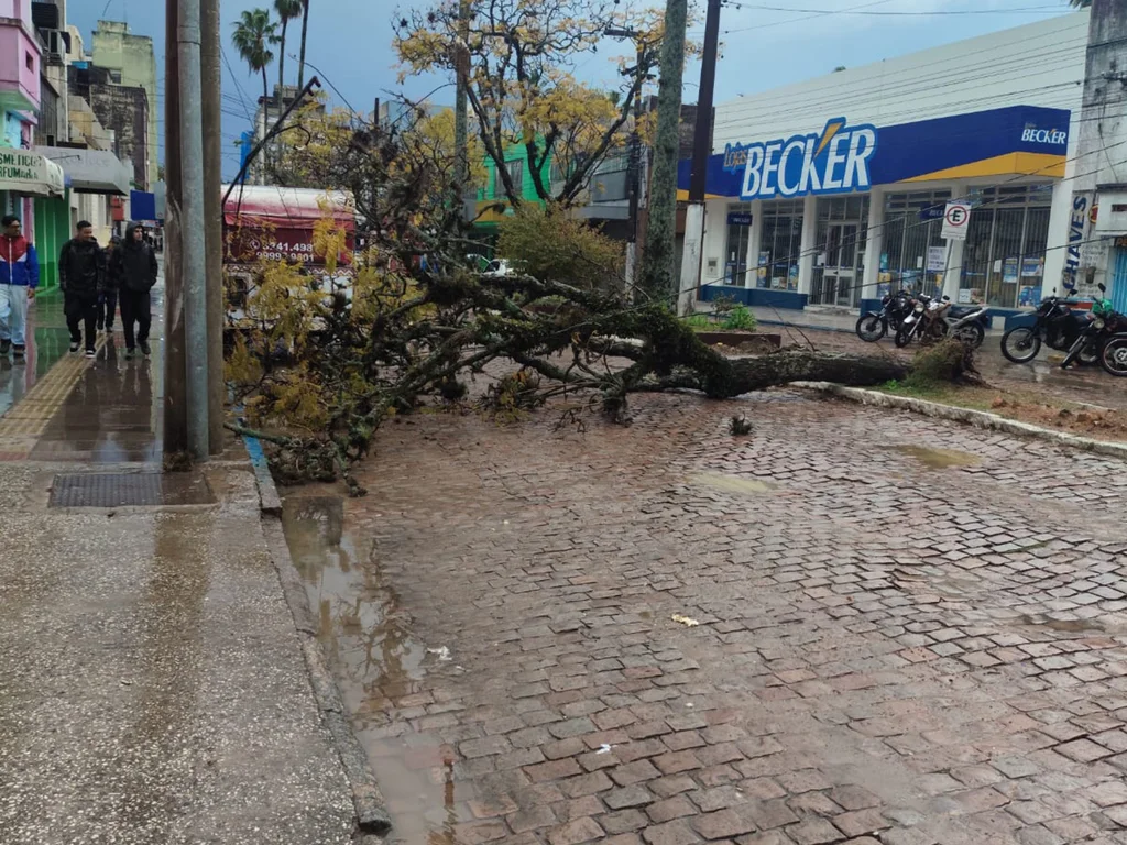 Chuvas provocam transtornos e mobilizam secretarias