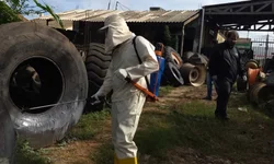 Frio no começo e no fim do dia