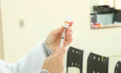 Operação Fênix realiza prisões e apreensões