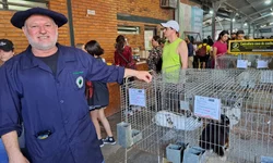 Cunicultura será destaque na FarmShow em Dom Pedrito