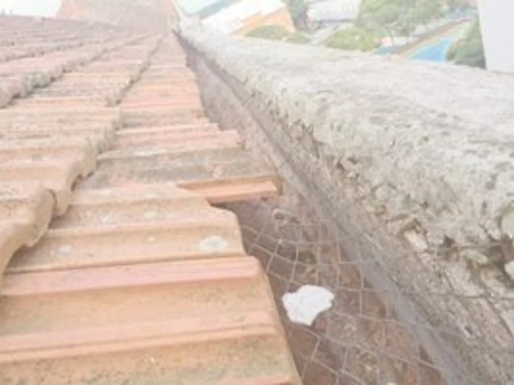 Reforma do telhado da Auxiliadora segue trancada