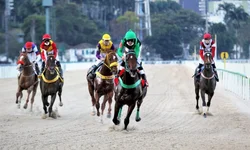 Liquidação é estratégica para o comércio