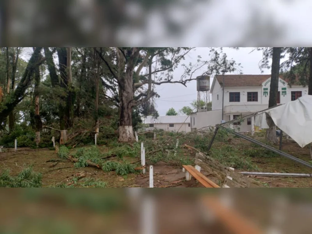 Queda de granizo na região mata 50 pássaros