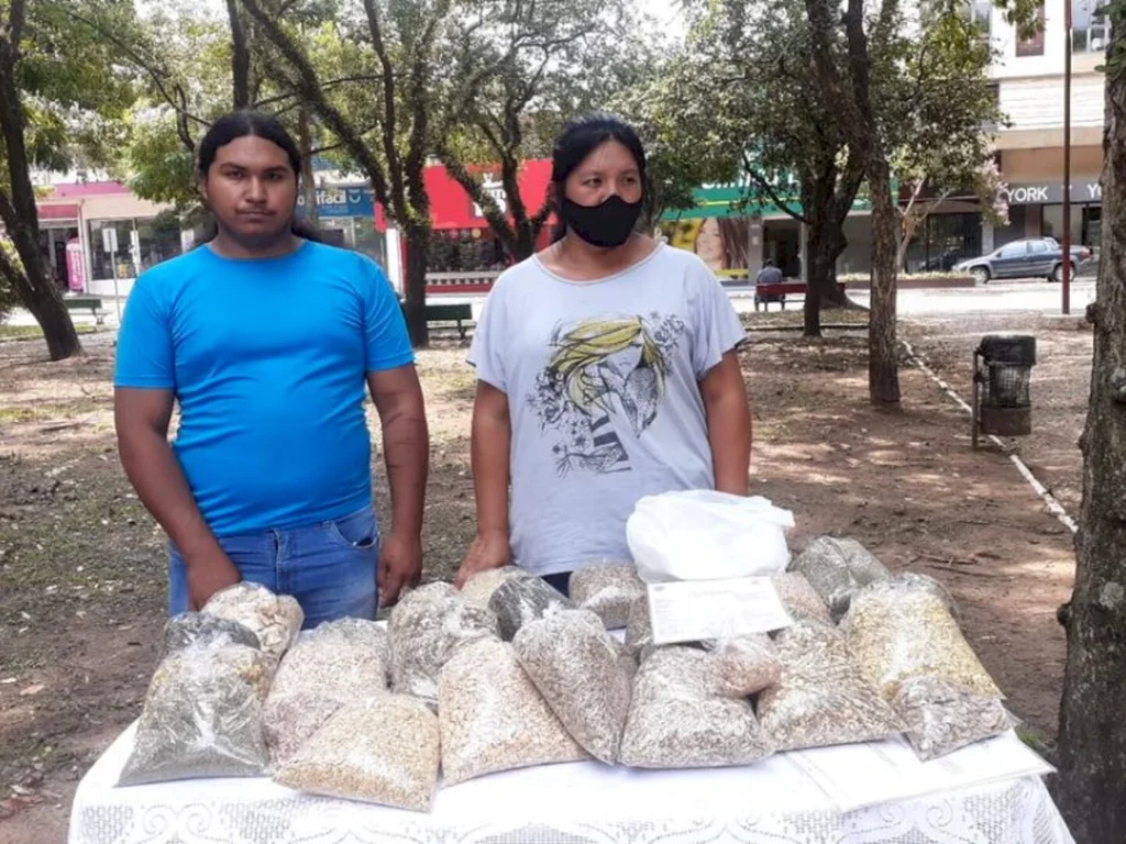 Indígenas comercializam ‘viagra’ natural na praça