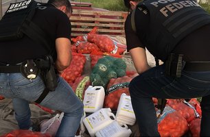 Quatro são presos com mais de uma tonelada de defensivos