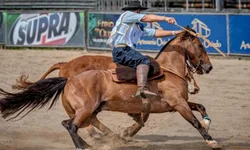 Crioulaço abre o calendário de finais da raça Crioula