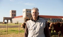 Santa Thereza: um tributo a Ierecê Moglia