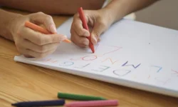 Educação domiciliar pode se tornar realidade