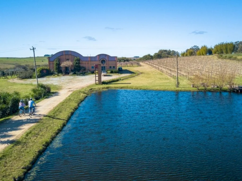 Mulheres encaram assado de cordeiro inteiro