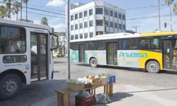 Encontro de Escolas Católicas acontece hoje