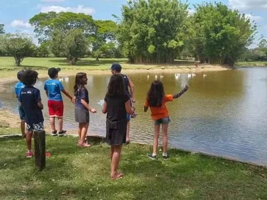 Brincando nas férias está com inscrições abertas
