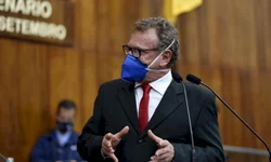 Voto impresso só depois do  recesso parlamentar