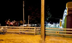 Pandemia contribui para elevação dos índices de violência contra a mulher