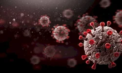 Bagé registra morte por covid-19