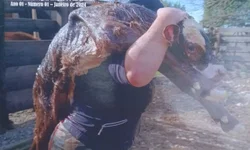 Frio “mais intenso” só será registrado no fim da primeira quinzena de abril