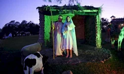 Eles são um bálsamo