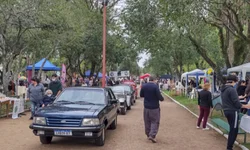 Desenvolvimento avalia: 2021 foi positivo com sucesso de eventos