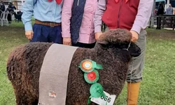 Desfile dos campeões marca abertura oficial da Expointer