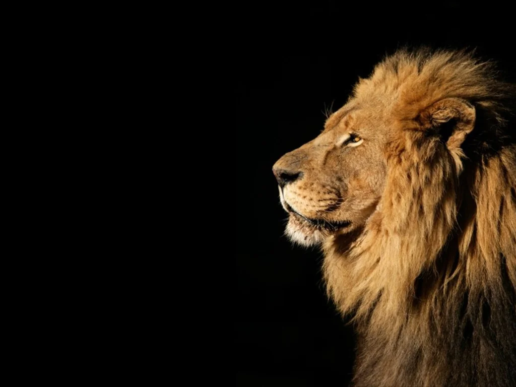 Gaúchos estão entre os que mais deixaram para a última hora