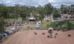 Égua de Aceguá é campeão do Bocal de Ouro