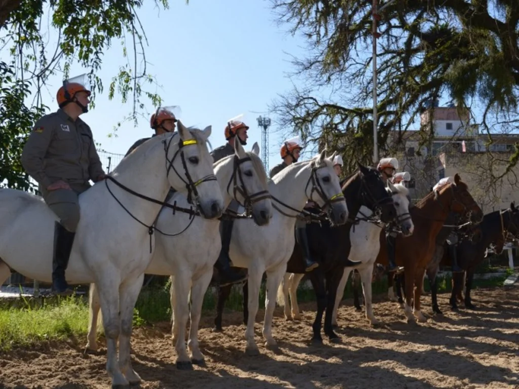 Cavalaria se capacita para atuar em grandes eventos e manifestações