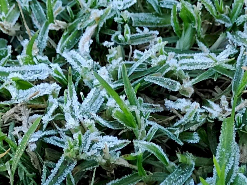 Final da semana será gelado na Campanha