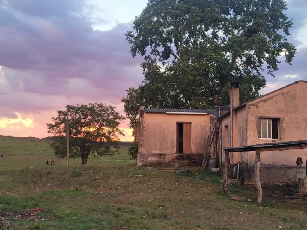 Moradores das Palmas buscam solução para falta de luz