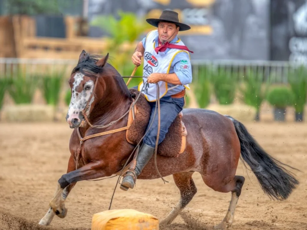 Égua de Aceguá é campeão do Bocal de Ouro