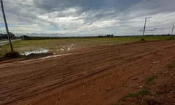 Vendas de Dia das Mães deve ter incremento de 3,6%