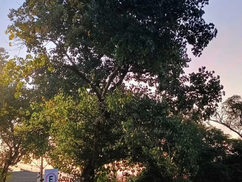 Semana trará “chuvas de março” ao RS